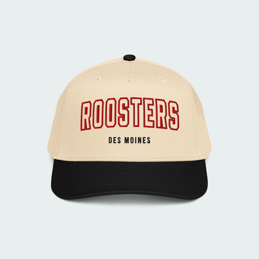 5 panel cap Des Moines