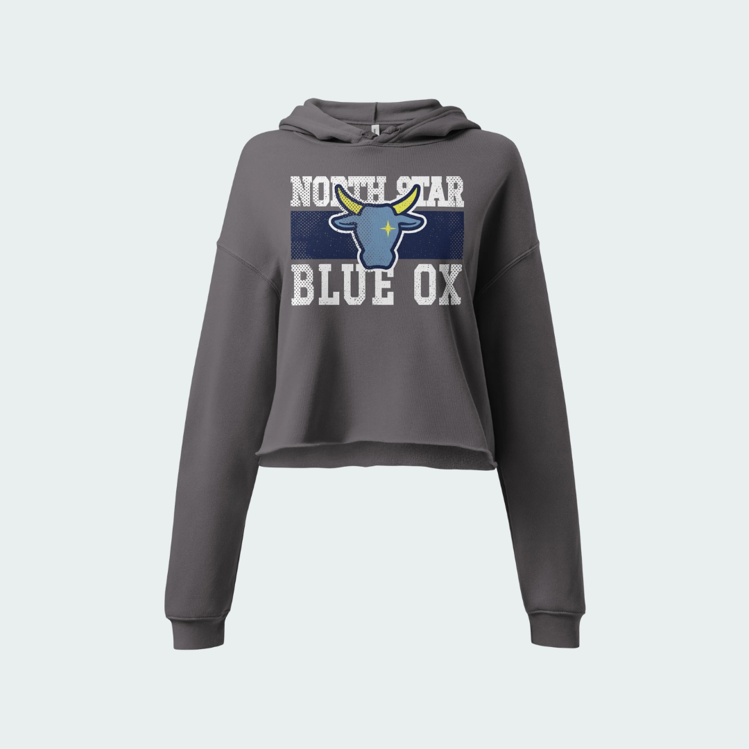 Crop Hoodie North Star