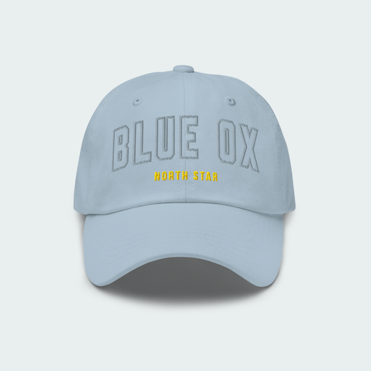 North Star Dad hat