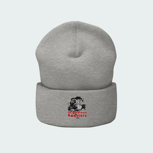 Des Moines Cuffed Beanie