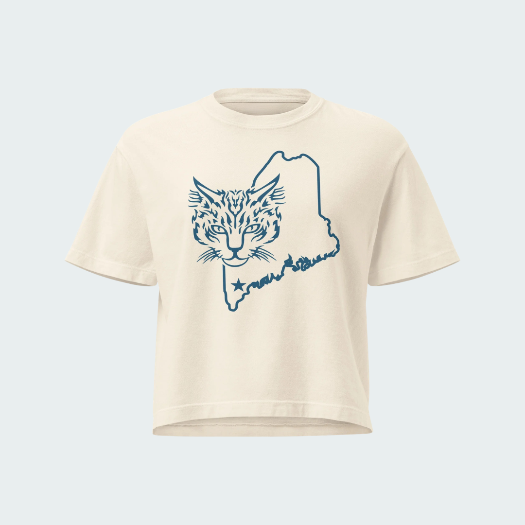 Women’s heavyweight boxy tee Maine