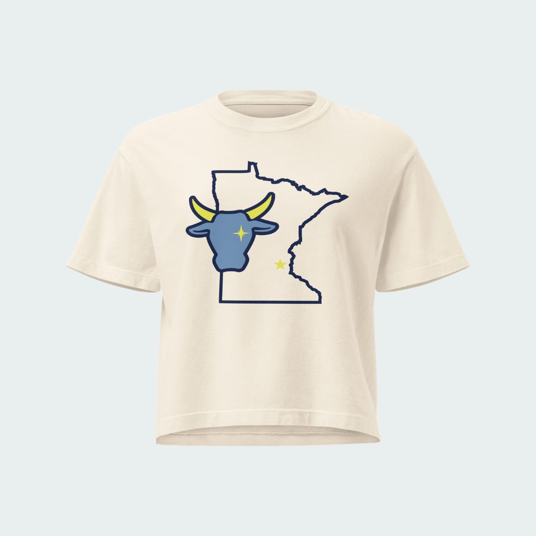 Women’s heavyweight boxy tee North Star