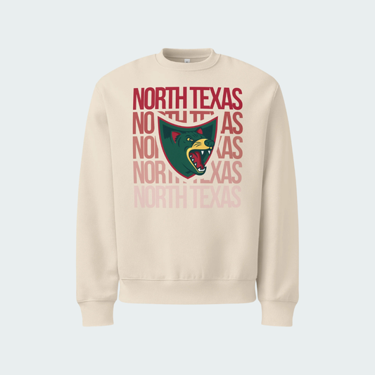 Oversized heavyweight sweatshirt North Texas Fade