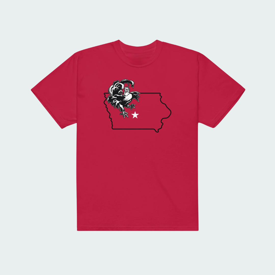 Unisex garment-dyed heavyweight t-shirt Des Moines State