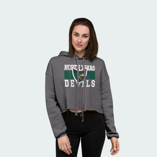 Crop Hoodie North Texas
