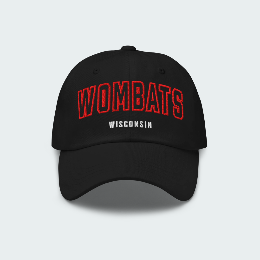 Wisconsin Dad hat