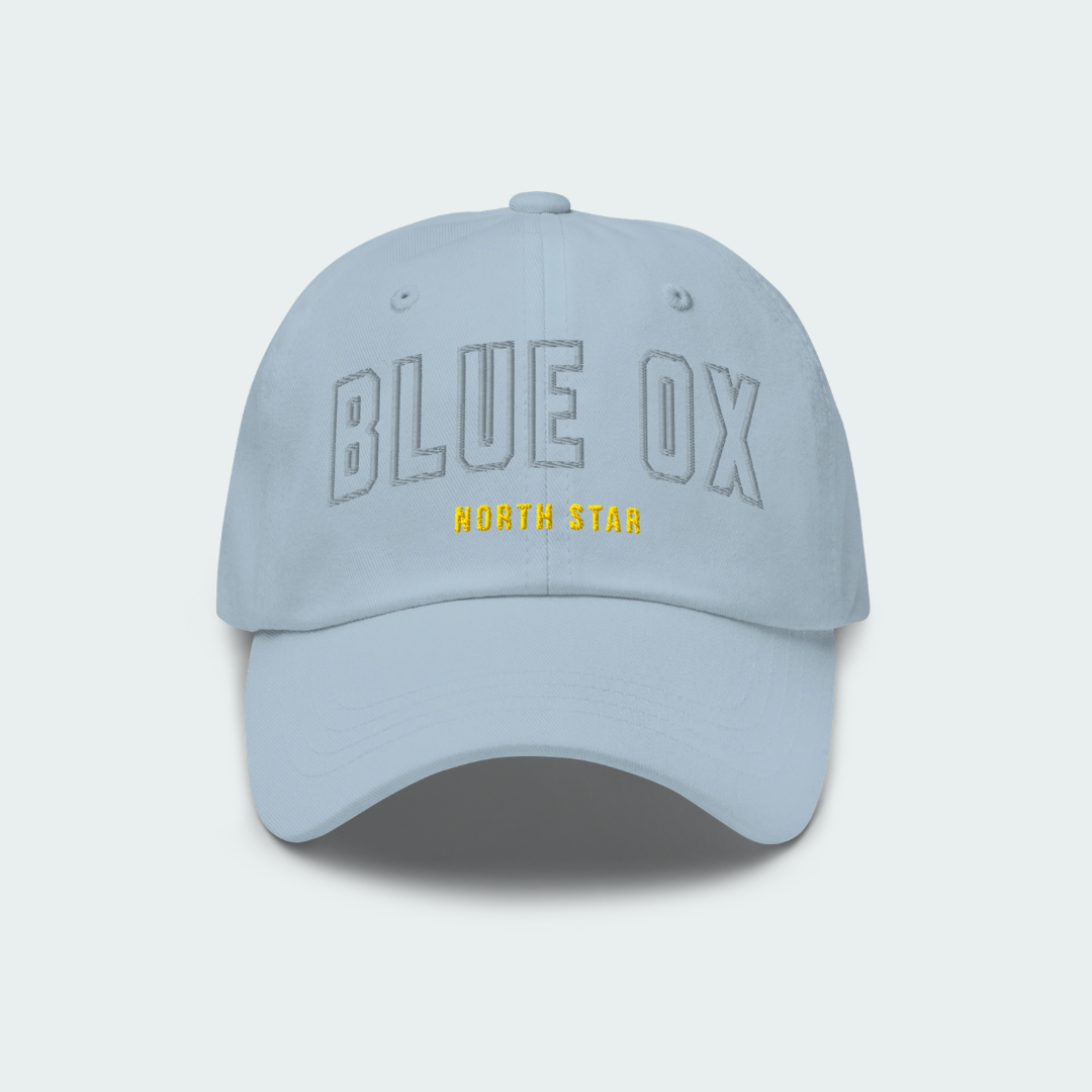 North Star Dad hat
