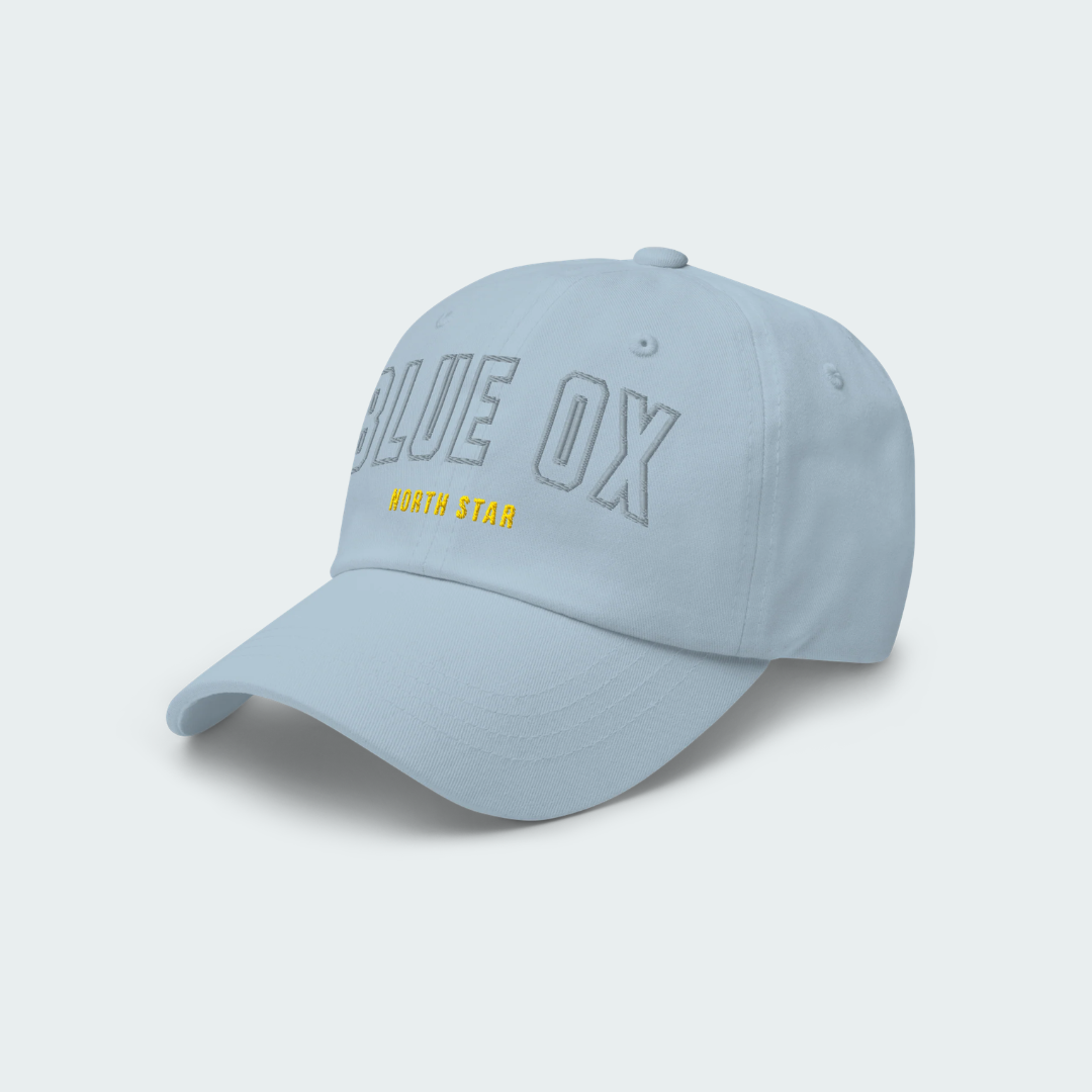 North Star Dad hat