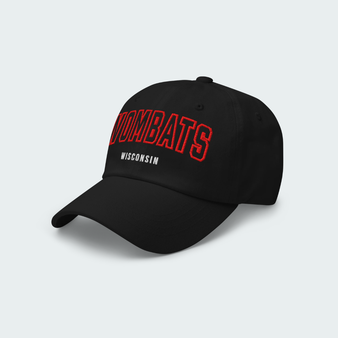 Wisconsin Dad hat