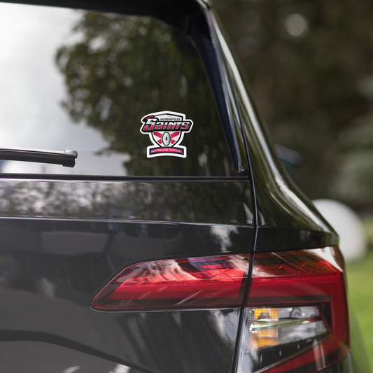 Jacksonville Bubble-free stickers